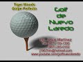 Tiger Woods (golpe perfecto)