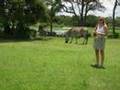 videos de Zimbabwe Feb 2008