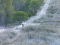 ktm 125 enduro subiendo el cortafuegos de santibañez ktm 125 enduro subiendo el cortafuegos de santibañez