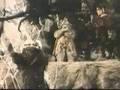 The Ewok Adventure