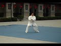 Xinjia Yilu by Master Chen Xiaowang Xinjia Yilu by Master Chen Xiaowang