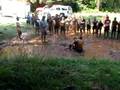 videos de Mud pit @summer camp 3