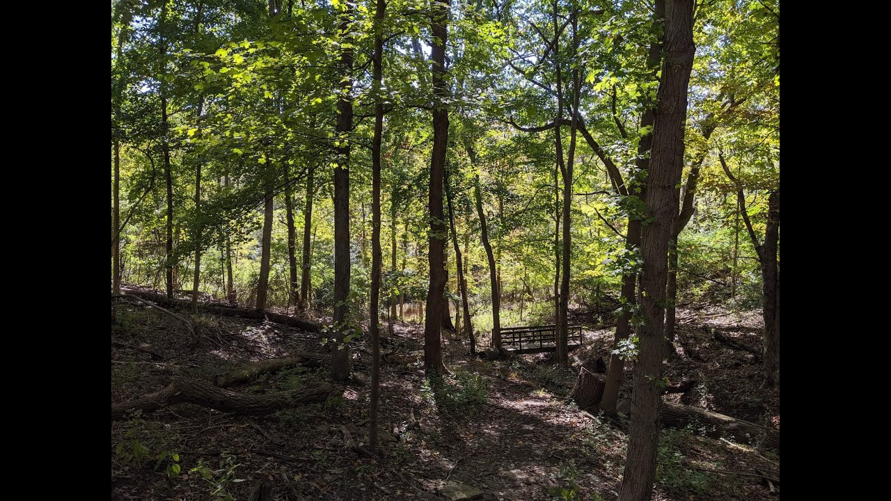 Creation Care Sunday 1