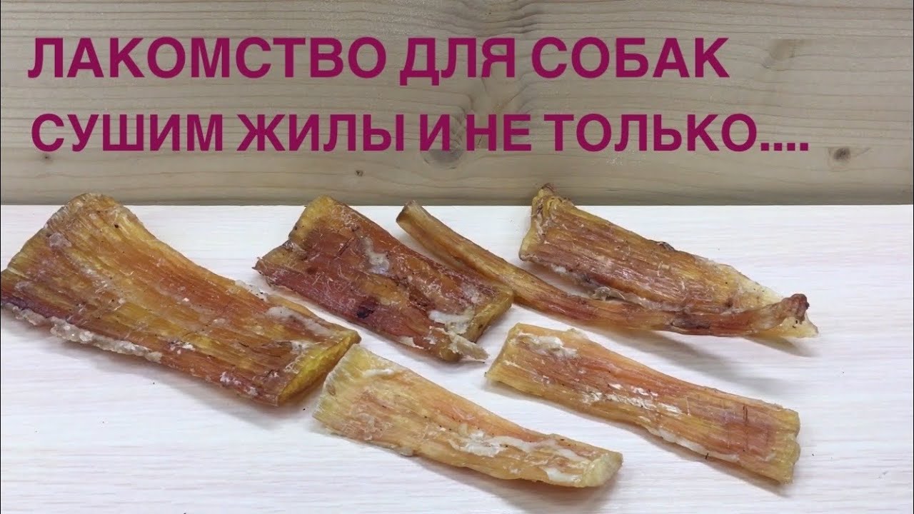 СУШЕНЫЕ ЖИЛЫ // Долгоиграющее лакомство для собак