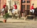 HN Hennebont 2008: 25 �talons bretons mont�s