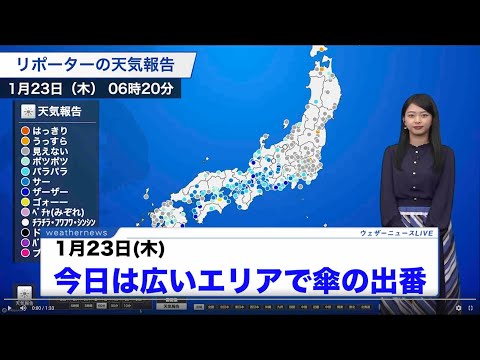 動画