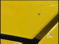Concorso Italiano Held At Marina Airport