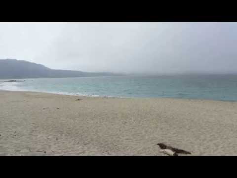 Video for Carmel River State Beach