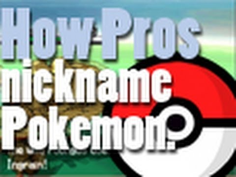 Pros - If you thought that was pretttty cool, please click thumbs up button because it helps! Thanks! I got really bored for a few days and I decided to do some coo...