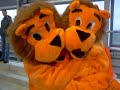 Oranje leeuw Oranje leeuw