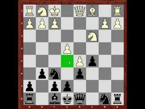magnus carlsen