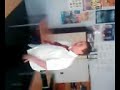 welling school jack