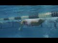 Swimming - Butterfly - Second Kick