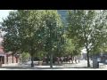 London - Trafalgar Square, Piccadilly Circus, Canary Wharf, Millennium Footbridge,Knightrider Street