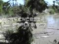 Florida Swamps Florida Swamps