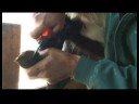 Raising Dairy Goats : Hoof Trimming Goats Raising Dairy Goats : Hoof Trimming Goats