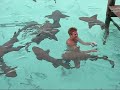 exuma andros bimini pershing staniel highborne cay normans cay bahamas yacht
