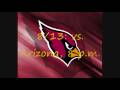 Pittsburgh Steelers 2009-2010 nfl preseason and regular season