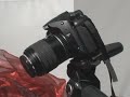 Focus Stacking -  a macro photography technique