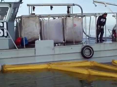 how to harvest artemia