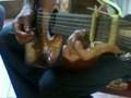 SIRIACO, JORGE Y MILTON MONGE ALCALDE ARCATAO