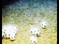 Zuco 103 - Futebol