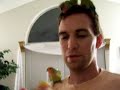 Fruity Lovebird Babies Fruity Lovebird Babies
