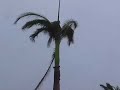 Cyclone Gamède