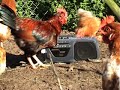Music Video 'Allright', coming from the album 'Gietling' of Dutch minimal folkband 'Dagpauwoog'