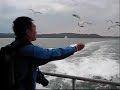 Mt Hakodate, morning market, matsushima bay cruise