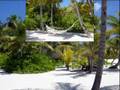 L'ile aux fleurs / madinina
