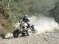 ds650 berni