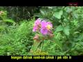 Laihla - Nitin In