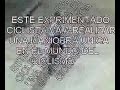 ostion niño bici  = dientes rotos  camara lenta 