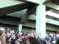 AHORA NO TE TAPA NADIE ZORRO CAGON