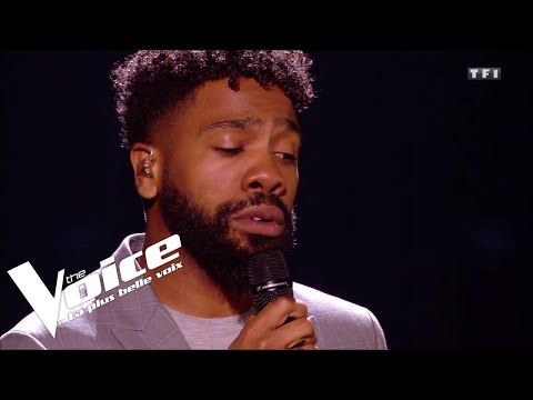 Starmania (Le monde est stone) | Hobbs | The Voice 2018 | Lives