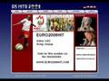 EURO2008HIT  VOC - Oranje