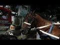 DR_CRISS_CROSS_PART_79.wmv