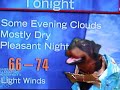 triumph insult dog hawaii weather