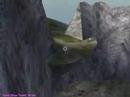 Brian Busted Aimbotting Brian Busted Aimbotting