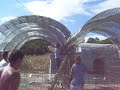 Parabolic Stress Skin Roof Panel Parabolic Stress Skin Roof Panel