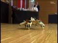 Hexapod  DancingClips 2007