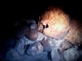 paris-catacombes-skeleton-blessed-remains-dead-underground.html