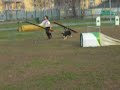 Allenamento agility Allenamento agility