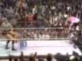 Stone Cold Vs Bret Hart
