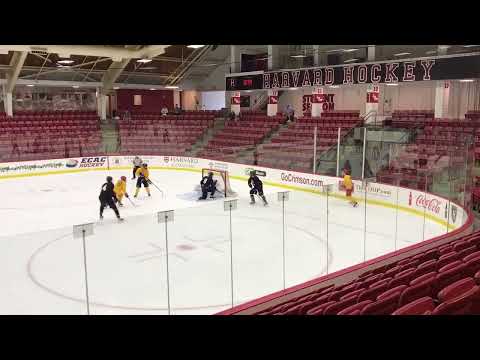 Harvard Camp 2022 #19 Yellow