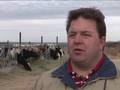 videos de The Irish Capital of Texas - Dublin, Texas