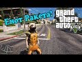 Rocket Raccoon from Guardians of the Galaxy para GTA 5 vídeo 1
