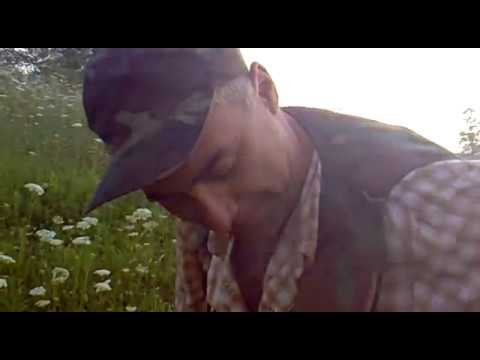 NADIROBA - nadiroba choxataurshi.