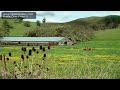 Battle Over Prop. 8.mov